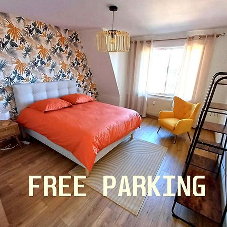 Confortable Spacieux Grand Rue - Garage Saverne Ngoại thất bức ảnh