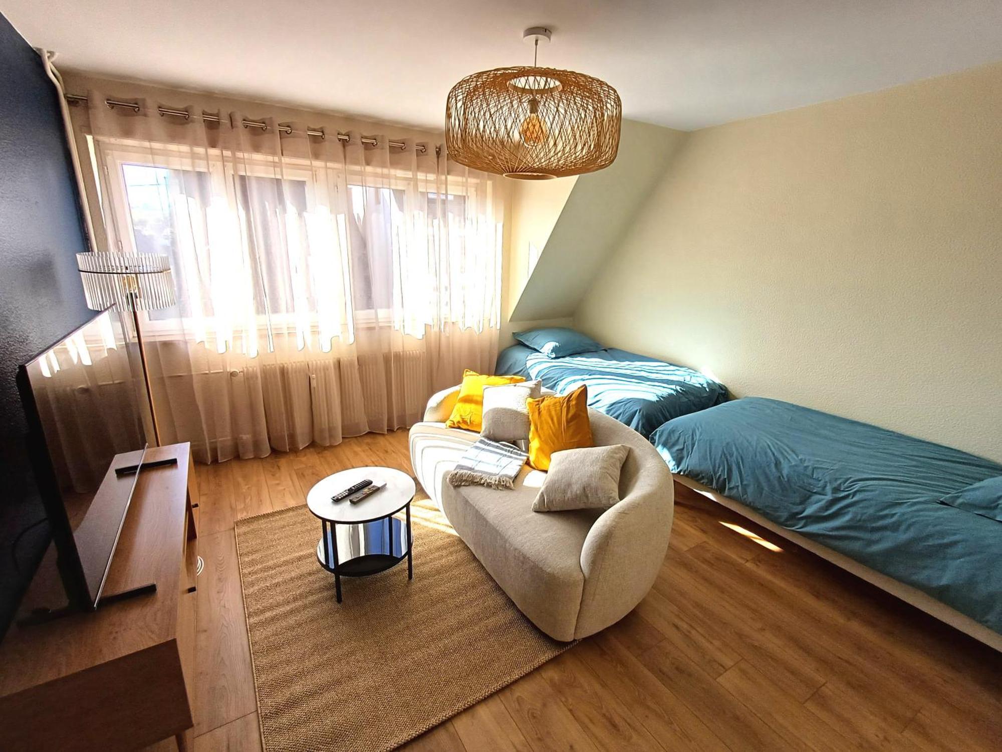 Confortable Spacieux Grand Rue - Garage Saverne Ngoại thất bức ảnh